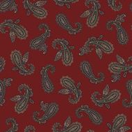 Paisley pattern N202