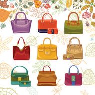 Autumn fashion Women&#039;s handbags and leaves top