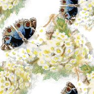 Butterflies picture seamless pattern with flowers N3