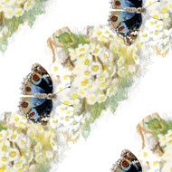Butterflies picture seamless pattern with flowers N4