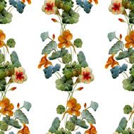 Nasturtium pattern