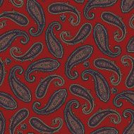 Paisley pattern N211