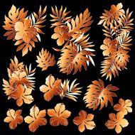 Hibiscus illustration N2