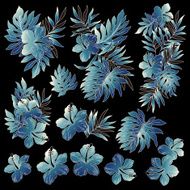 Hibiscus illustration N3