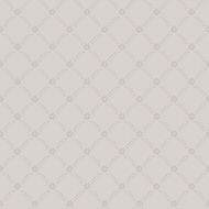 Seamless texture background N112