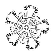 vector ethnic ornament N2