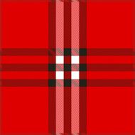 Plaid texture background vector illustration N2