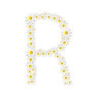 Flora Daisy Design Alphabet Vector Illustartion N8