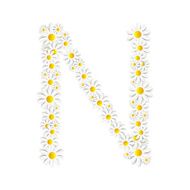 Flora Daisy Design Alphabet Vector Illustartion N11