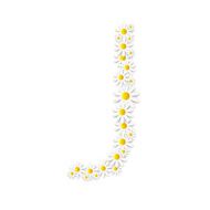 Flora Daisy Design Alphabet Vector Illustartion N15