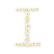 Flora Daisy Design Alphabet Vector Illustartion N16