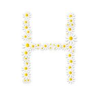 Flora Daisy Design Alphabet Vector Illustartion N17