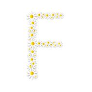 Flora Daisy Design Alphabet Vector Illustartion N19