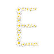 Flora Daisy Design Alphabet Vector Illustartion N20