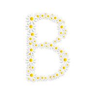 Flora Daisy Design Alphabet Vector Illustartion N23