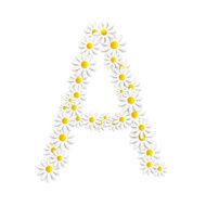 Flora Daisy Design Alphabet Vector Illustartion N24