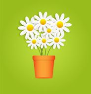 Flora Daisyl Design Vector Illustartion N8