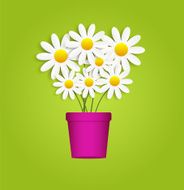 Flora Daisyl Design Vector Illustartion N9