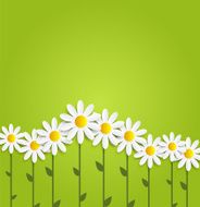 Flora Daisyl Design Vector Illustartion N10