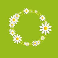 Flora Daisyl Design Vector Illustartion N11