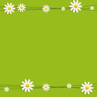 Flora Daisyl Design Vector Illustartion N17