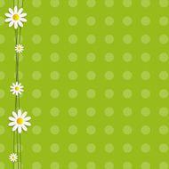 Flora Daisyl Design Vector Illustartion N19