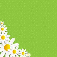 Flora Daisyl Design Vector Illustartion N25