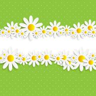 Flora Daisyl Design Vector Illustartion N26