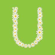 Flora Daisy Design Alphabet Vector Illustartion N30