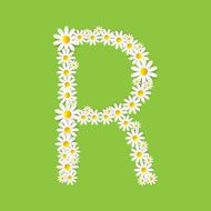 Flora Daisy Design Alphabet Vector Illustartion N33