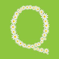 Flora Daisy Design Alphabet Vector Illustartion N34