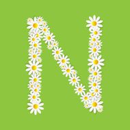 Flora Daisy Design Alphabet Vector Illustartion N37