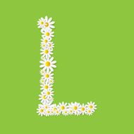 Flora Daisy Design Alphabet Vector Illustartion N39