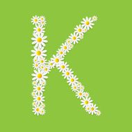 Flora Daisy Design Alphabet Vector Illustartion N40