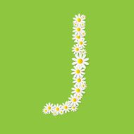 Flora Daisy Design Alphabet Vector Illustartion N41