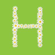 Flora Daisy Design Alphabet Vector Illustartion N43