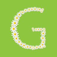 Flora Daisy Design Alphabet Vector Illustartion N44