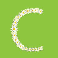 Flora Daisy Design Alphabet Vector Illustartion N48