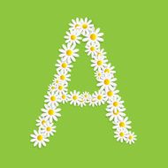 Flora Daisy Design Alphabet Vector Illustartion N50