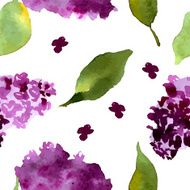 Lilac Flowers N5