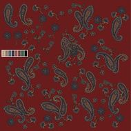 paisley N4