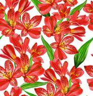 Vector seamless pattern with red watercolor alstroemeria flowers Abstract floral