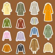 Women&#039;s Fashion