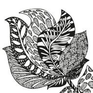 Doodling hand drawn amazing feathers with patterns N15