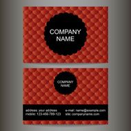 stylish colorful business card N3