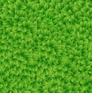 Green leaves texture Vector illustration