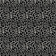 Vector Illustration pattern black and white animal background
