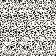 Vector Illustration pattern black and white animal background N2