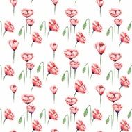 White Poppy Pattern