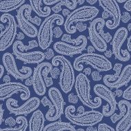 pattern paisley
